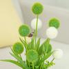 WillingYou Artificial Flowers, Stylish Nordic Decor, with Vase, Fake Allium Flowers, Includes One Vase and One Bouquet, Multicolor