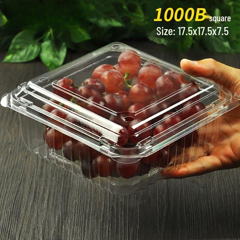 Disposable Fruit & Food Takeaway Containers