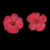 12 Pressed Wintersweet Flower Dried Floral Embellishments Card making Scrapbooking Art Crafts