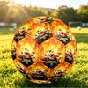 Size 5 Football Kung Fu Panda Pattern, Wear‑Resistant Soccer Ball for Match Training Daily Sports Play