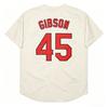 Men's Vintage-Style Stitched Baseball Jerseys 1 Ozzie Smith 6 Stan  9 Roger Maris 20 Lou Brock 45 Bob Gibson  S-3XL