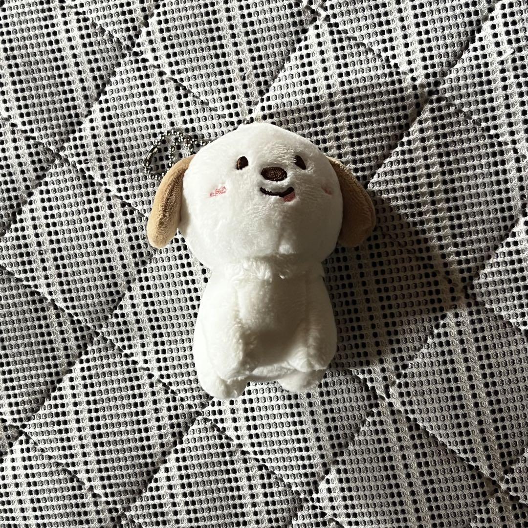 

[Б/У] Официальный Валентиновский MD RIIZE Антон 10 см Кукла Плюшевая игрушка