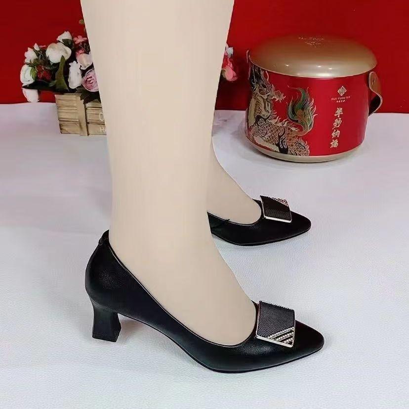 2025 New Spring Shallow Mouth Flat Sole Shoes Women's Fashion Versatile Spring and Autumn Thick Heel High Heel Single Shoes