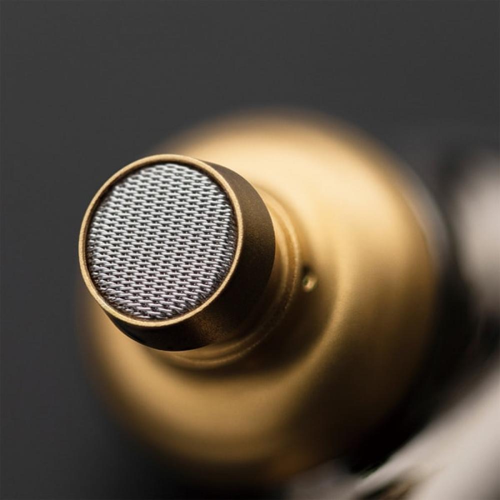 Meze Audio Versiegelte dynamische In-Ear-Monitor-Ohrhörer Advar