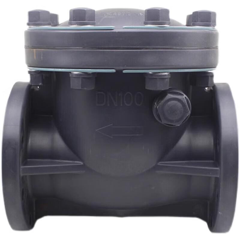 Junlun Industrial Plastic Swing Check Valve CN plug (adapter included)