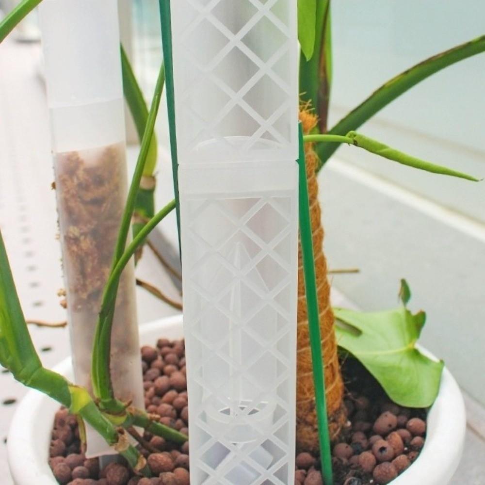 Palo de Trepa para Plantas en Forma de D Caudal Ajustable Poste Columna de Musgo Flores en Maceta