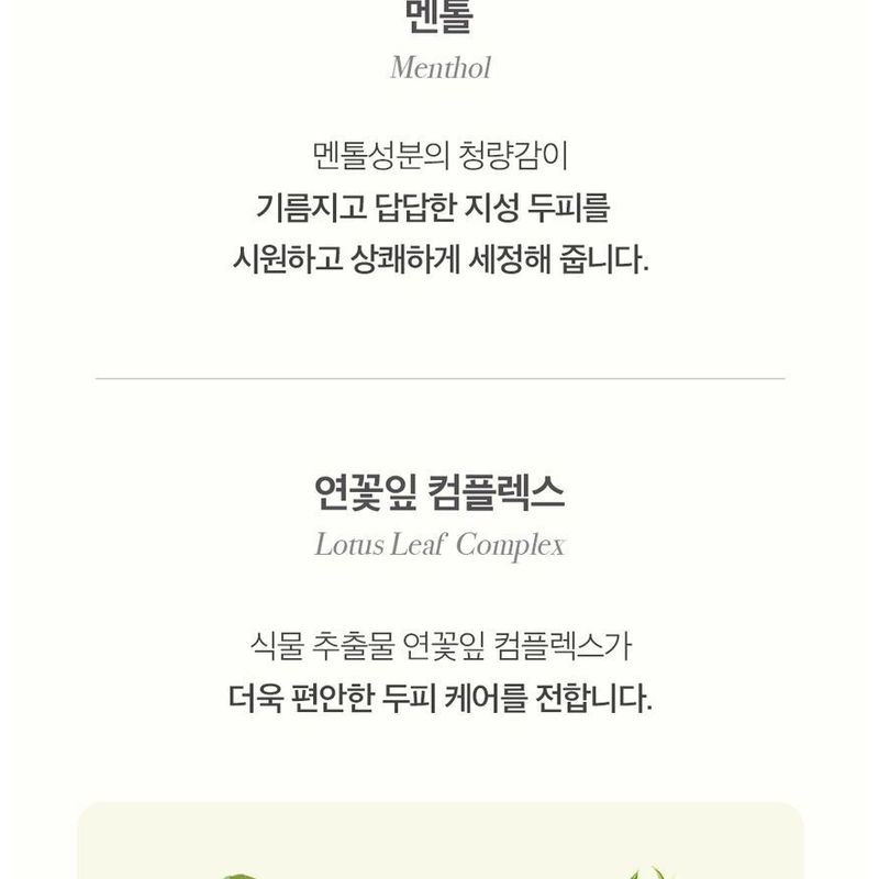 THE PURE LOTUS - Lotus Leaf Shampoo For Oily Scalp Jumbo