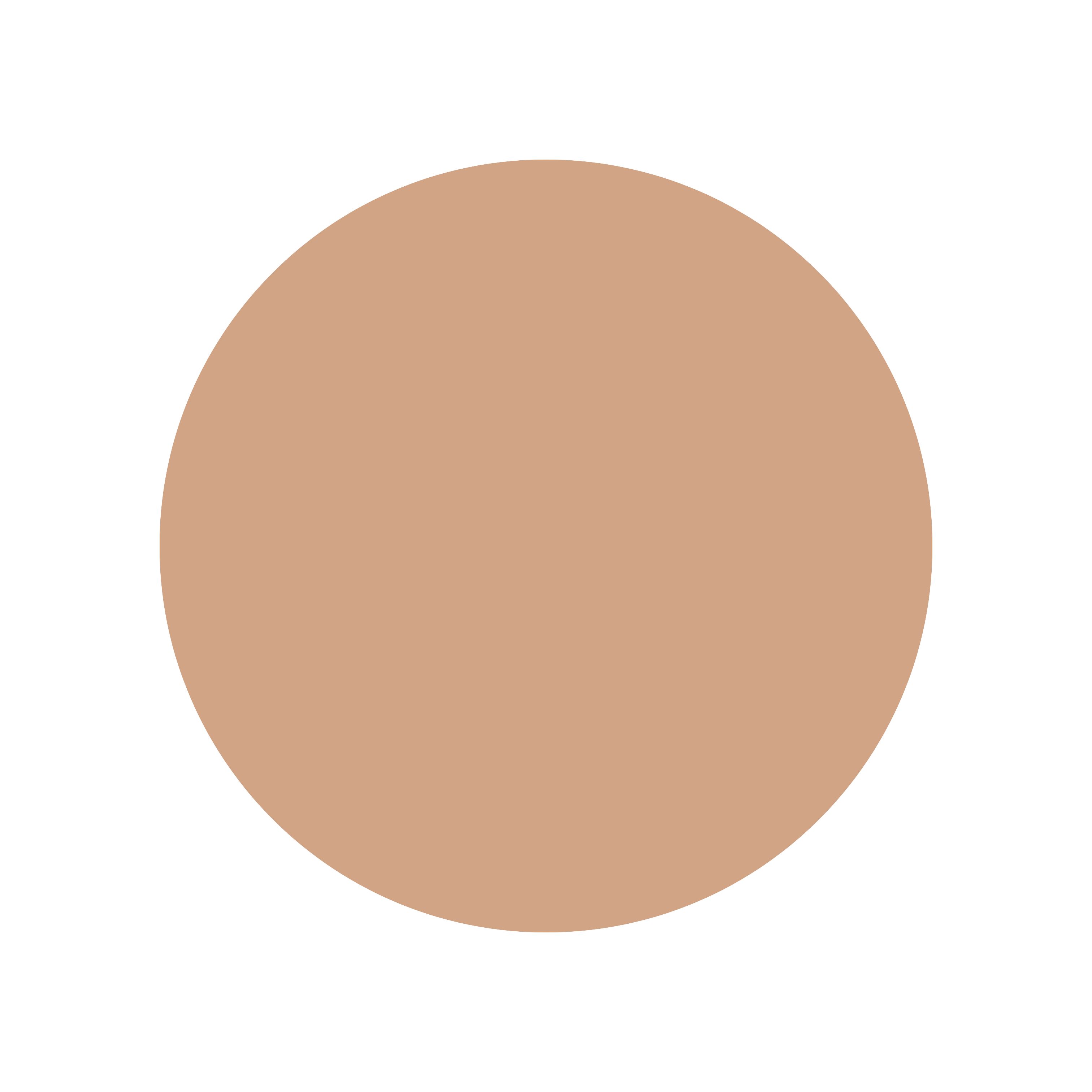

lilybyred Cotton Blur Cushion 15g #23