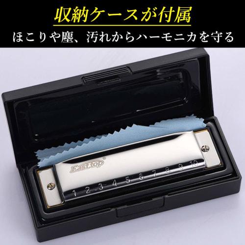 nullie 10-Hole Harmonica, Sing-and-Play Set, Harmonica Holder, 4-Piece Set for Quick Start