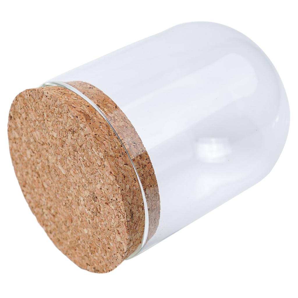 8/10/12cm Modern Handcraft Glass Dome Cover Dry Flower Vase With Wood Cork Base Landcrape Figurines Model Display Artwork