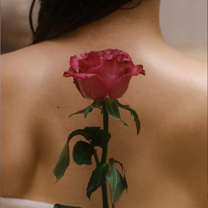 [2 types of Saint Rose] Saint Rose Body Oil 100ml + Saint Rose Multi-Perfume 100ml
