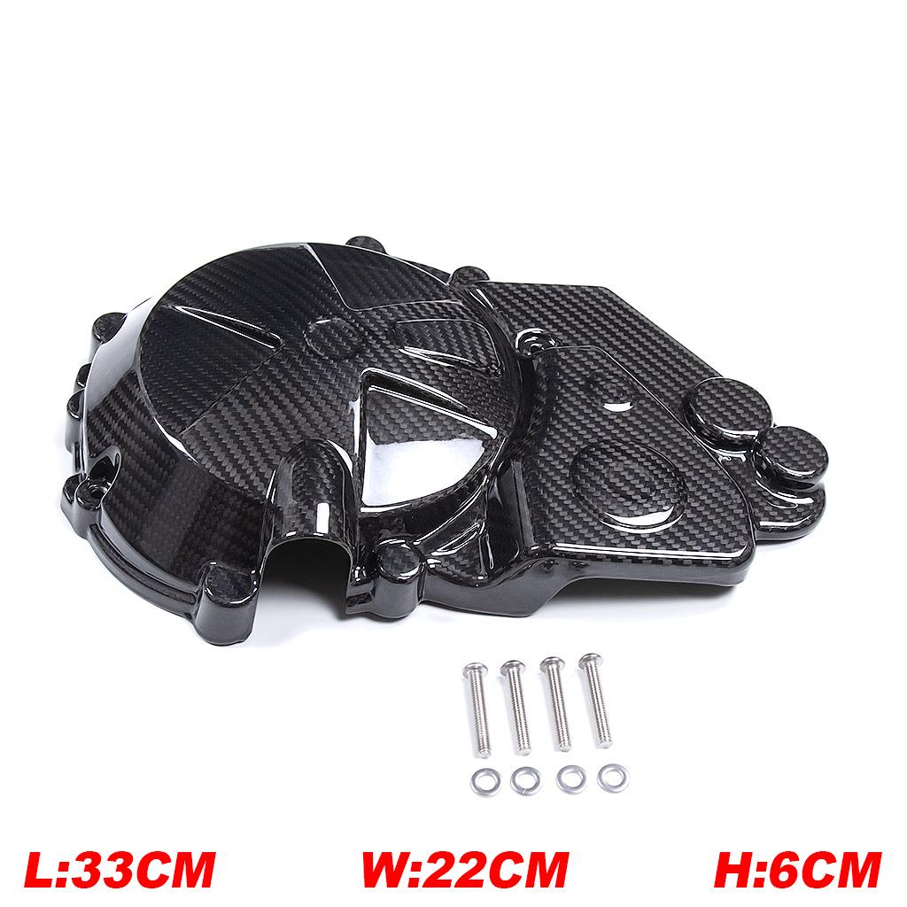 BMW S1000RR/S1000R/M1000RR Carbon Fiber Engine Cover