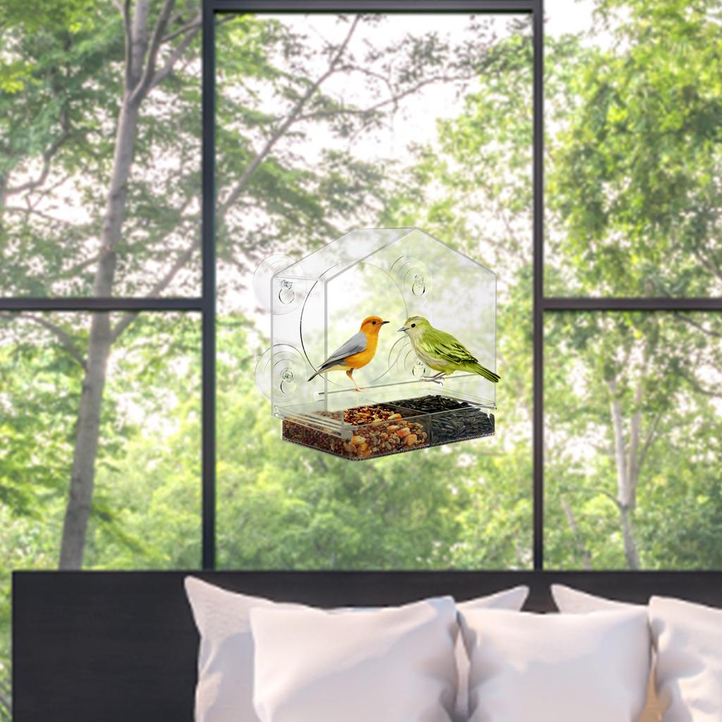 Wetterfestes Fenster-Vogelhaus Acryl-Fenster-Vogelfutterspender für draußen Klare Vogelfutterspender zur Beobachtung Blauhauben-Häher Finken