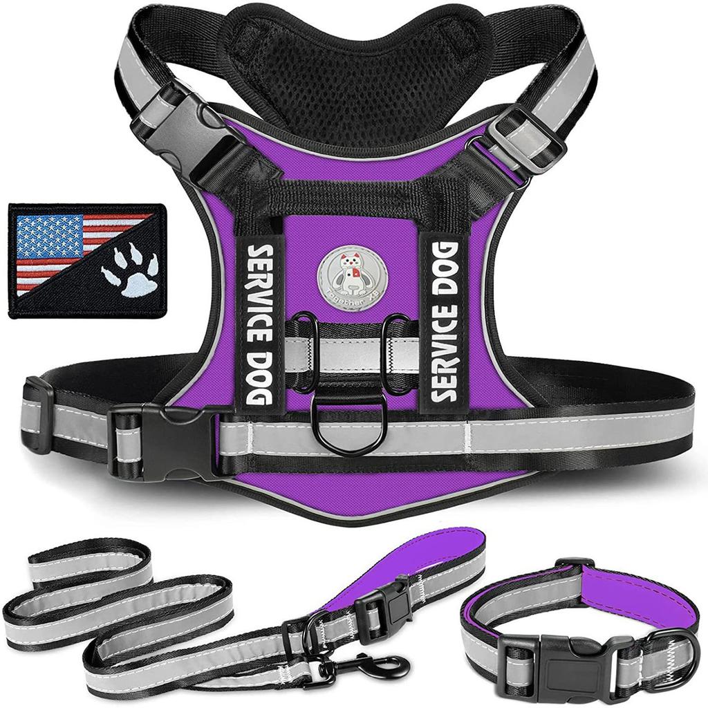 Adjustable Pet Chest Strap With Outdoor Walking Training Vest