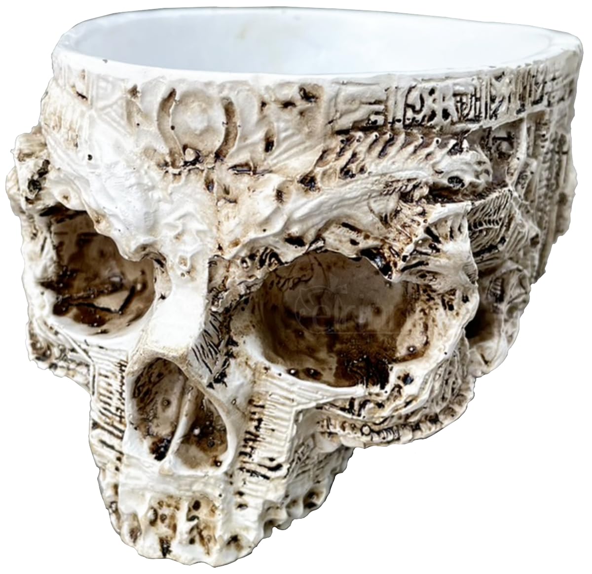 

Череп Череп Садовый Горшок Аксессуар Контейнер Цветочный Горшок Кашпо Интерьер Череп Скелет Стильный [elrinrin] (К) белый