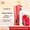 Sulei Camellia Oil Control Anti-Dandruff Shampoo & Conditioner Set