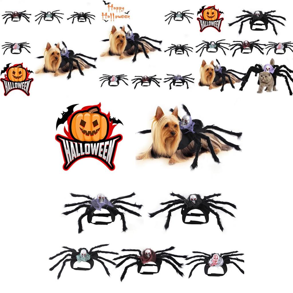 Cute Pet Spider Costume For Halloween Party