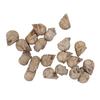 Rlistic Resin Miniature Skull, Reusable Skeleton Hd for Party   Decor with Mystery Ambiance Horror Scene Props, Cool Bar