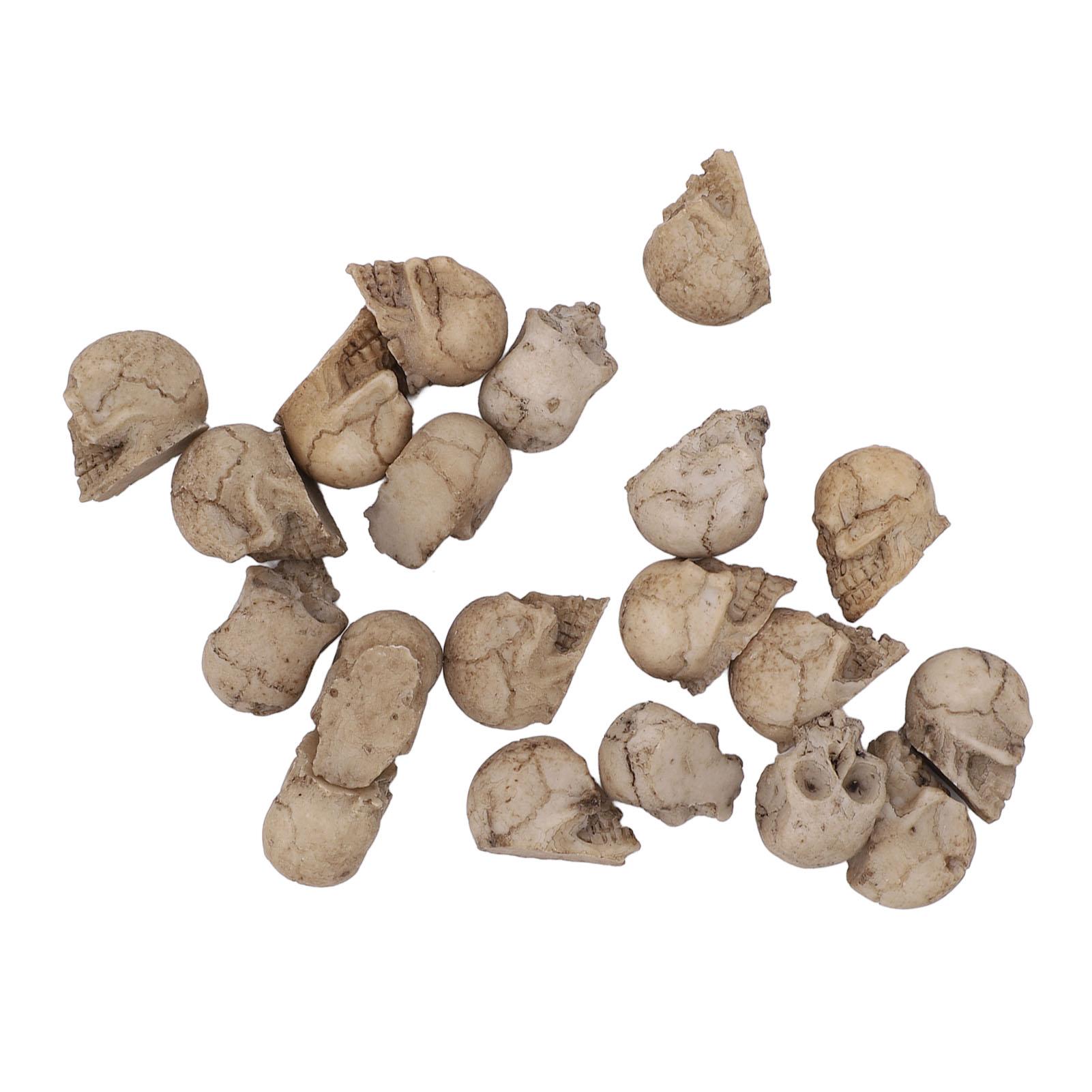 

20 шт. Миниатюрный череп Реалистичная смола Многоразовая миниатюрная голова скелета для микроландшафтного сада, украшение для горшка