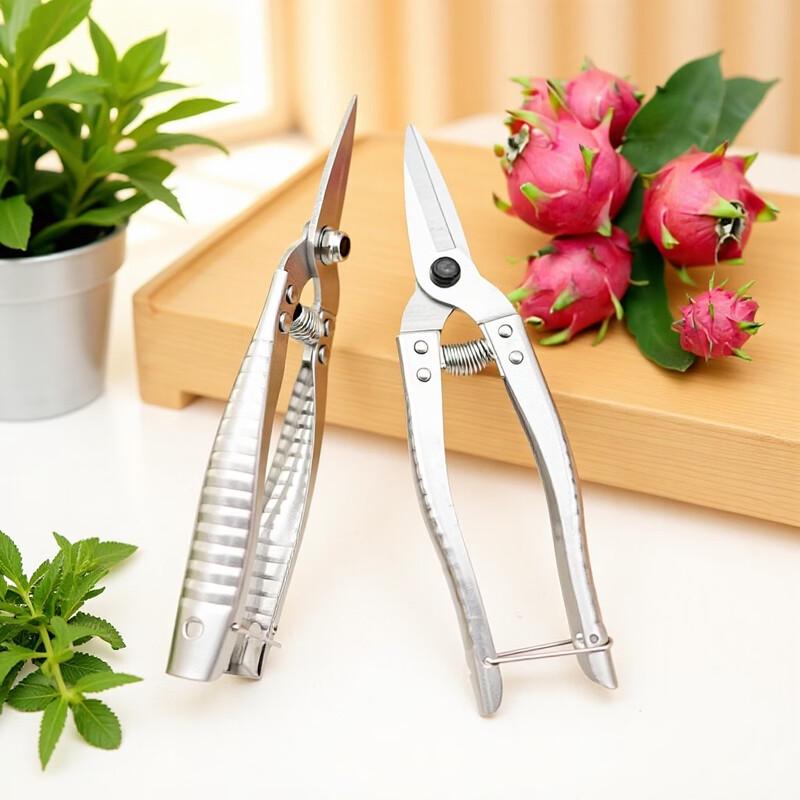 Zhishi Stainless Steel Pruning and Fruit Shears