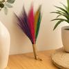 Pampas Grass Broom Set of 4 Rainbow Colours
