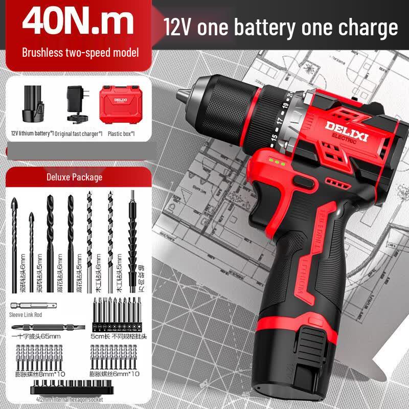 DELIXI Lithium-ion Brushless Cordless Drill/Driver CN Plug (adapter Included)