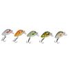 5 Pcs Mini Fishing Lures Crankbait Realistic Fishing Hard Baits Kit with Box for Sea Water and Fresh WaterType 3