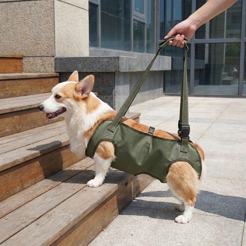 Adjustable Pet Auxiliary Vest Soft Lining Full Body Support Dog Chest Back Leash Mobility Aid Thicken Handle Support Harness