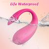 Wireless Bluetooth App Remote Control Wearable Vibrating Egg G-Spot Dildo Vibrator Sex Toy for Women