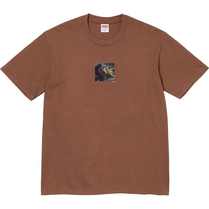 Supreme The Exorcist Puke Tee Brown XL