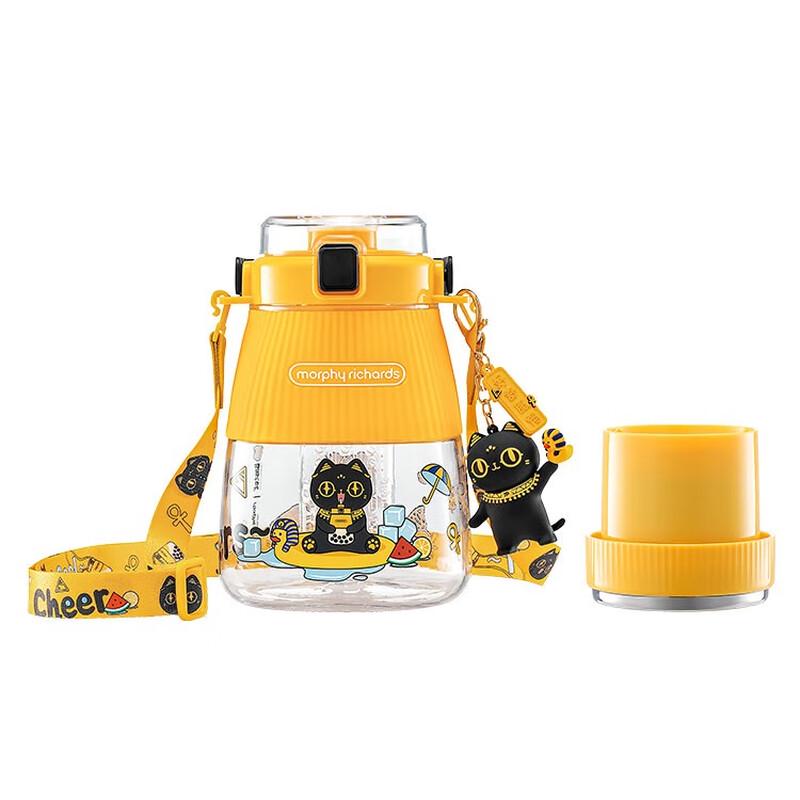 Morphy Richards Portable USB Blender Bottle