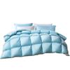 Fuanna 95% Imported White Goose Down Winter Comforter