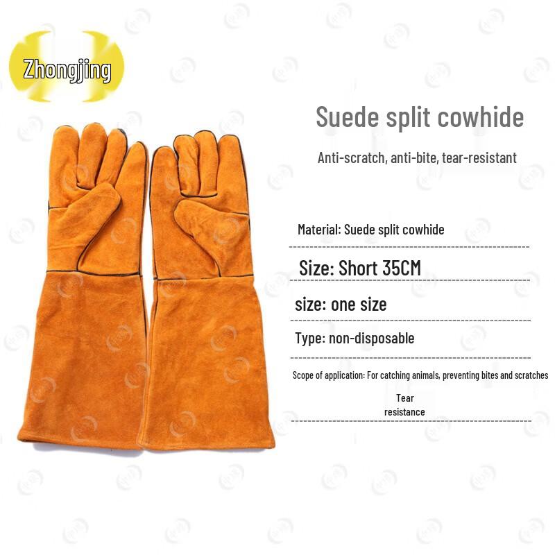 Professional Dog Control & Catching Tools