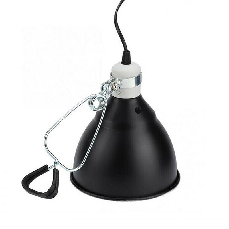 dome lamp reptile