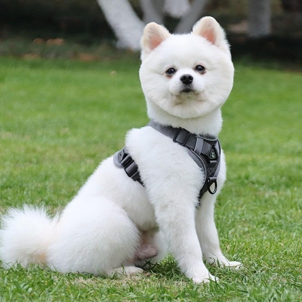 Adjustable Cat Harness and Leash Sets Vest Style Reflective Mesh Pet Harnesses Breathable Kawaii Dogs Accessories Outdoor