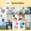 Brand-New Casa BRUTUS Special Editions – Japanese Architecture, Art, Design, Fashion, Food, Travel & Lifestyle Guides