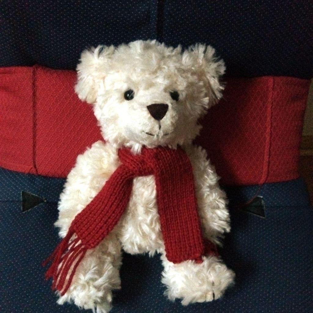 [USED] Bukowski Teddy Bear Pair