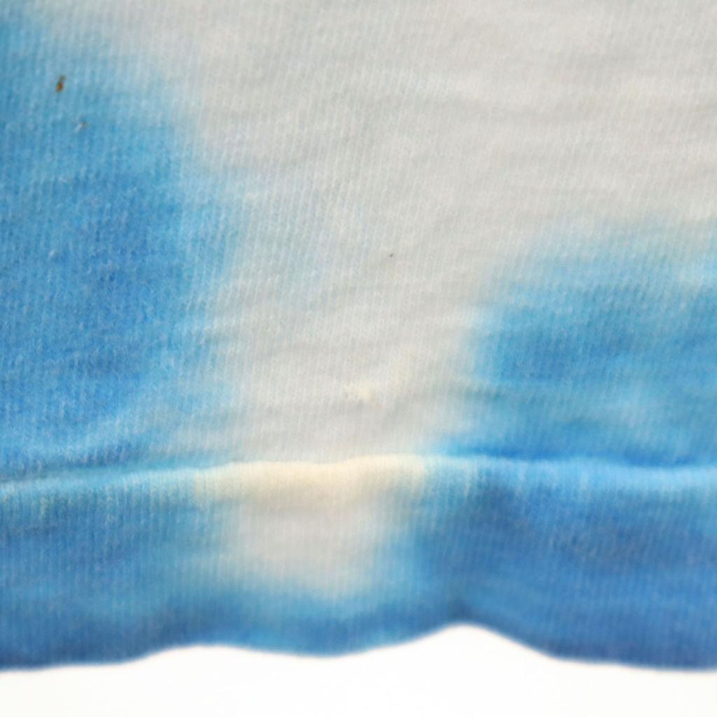 TULTEX 00s Old Looney Tunes Tweety Short sleeve T-shirt L blue Tie-dye Men's Used