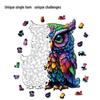 HOOLOOG Owl Cat Wooden Jigsaw Puzzle: Original Irregular Shape Creative Decompression Art Puzzle & Money Box.