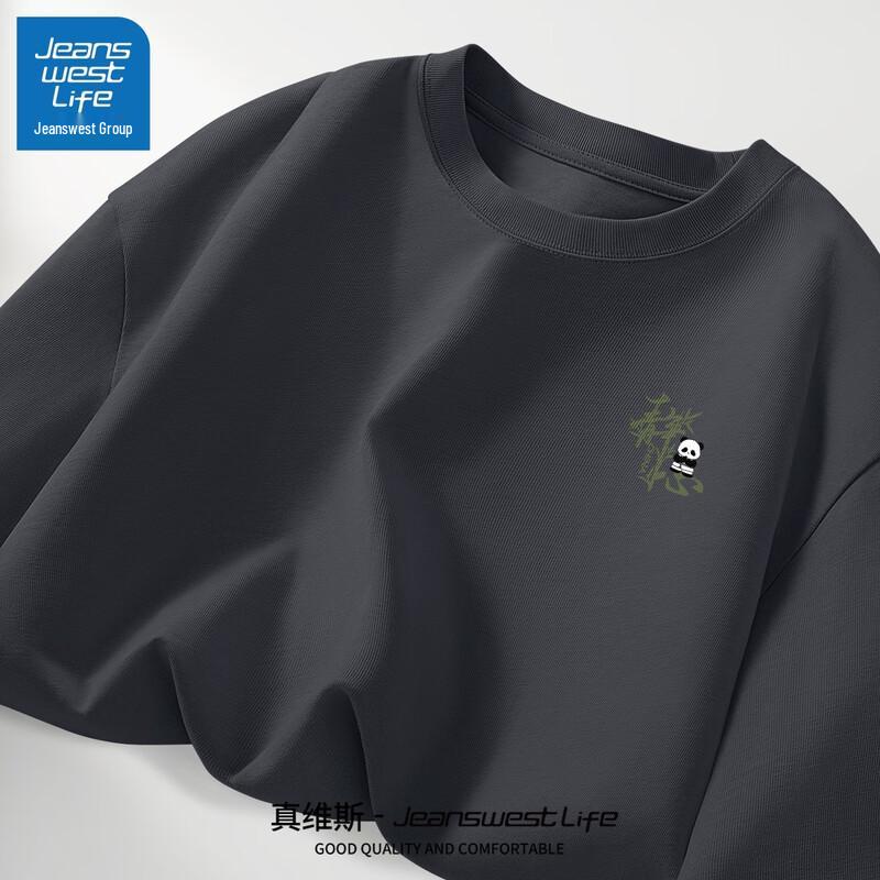 JEANSWEST LIFE Men s Heavyweight Pure Cotton Casual T-Shirt 3XL