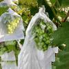 100pcs Waterproof Fruit Vegetable Paper Bag Anti-Bird Grape Protection Cover  For Orchard Farm