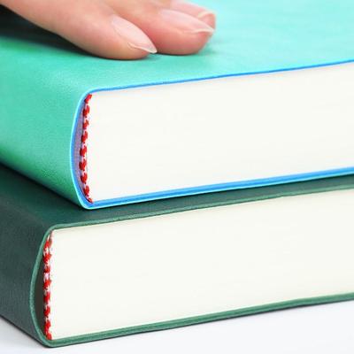 Thickened 416-Page 2022 Business Diary Notebook