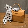Silk Scarf Handbag Women Handbags2025 Small Bag Women Wholesale Korean Version Women Messenger Bag