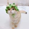 Cappello da Festa Cosplay per Gatti, Copricapo in Maglia Elastica, Carino Decoro con Ciondolo, Accessorio per Travestire Animali Domestici, Articoli di Moda per Gatti Piccoli
