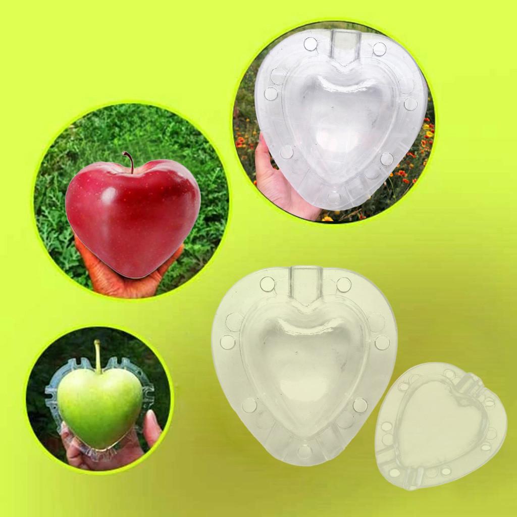 (Nikita) Herzförmige Wachstumsformen für Erdbeerfrüchte