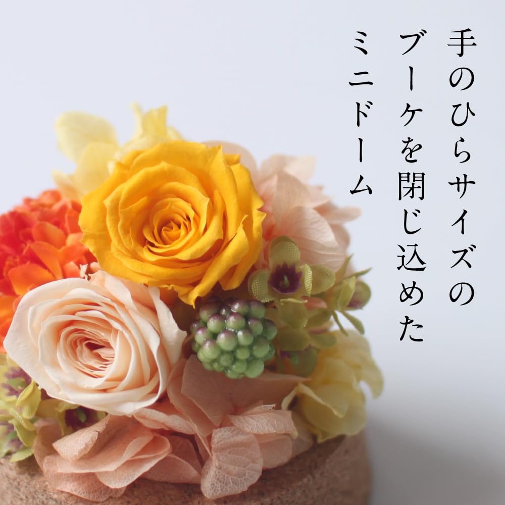 Konservierte Blume Petit Dome, Handgefertigte Materialien, Getrocknete Blumen, Geschenke, Feiern, Jahrestage, Geburtstage, Blumenarrangements, Blumengeschenke, Neve