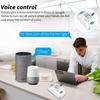 Graffiti Smart WiFi+RF433 Remote Control Switch, Alexa-Compatible On-Off Device.