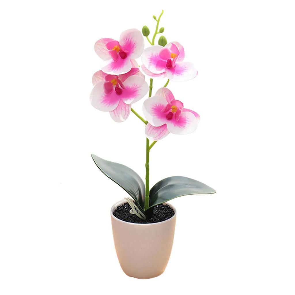 Orchidee w doniczkach Sztuczna orchidea Pomarańczowo-czerwona Różowa Plus Biała Róża Biała Biała Plus Róża Ogród Biuro Restauracja Walentynki