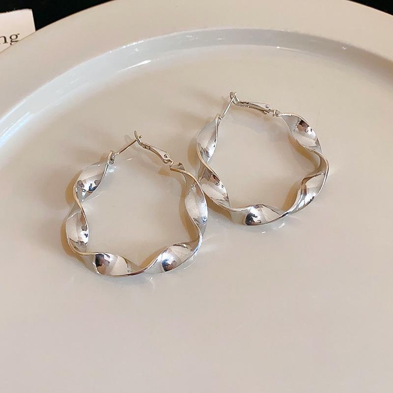 High-End Light Luxury Cold-Style Metal Hoop Earrings
