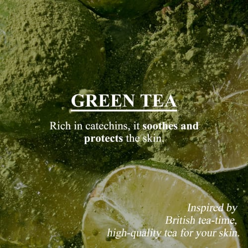 TEABLESS Green Forest Matcha Hand Cream, 50g (3-pack) - Refreshing Patchouli and Matcha Scent, Highly Moisturizing, Refreshing, Gift [Official]